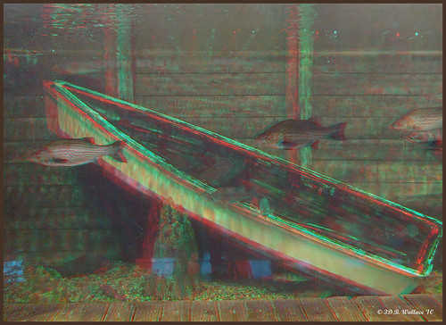 brian wallace quotbrian wallacequot 3d anaglyph indoors inside mall quotarundel millsquot stereo stereoscopy stereoscopic stereographic stereoimage stereopicture fish tank boat outdoorworld