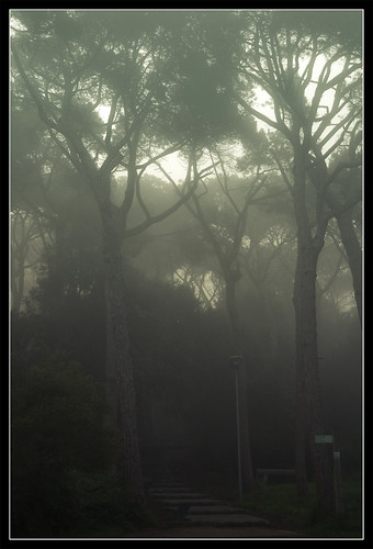 barcelona fog niebla vallvidrera flickraward