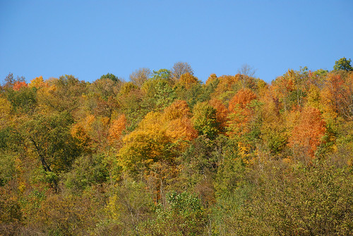 autumn ohio fall landscape newport mudlane
