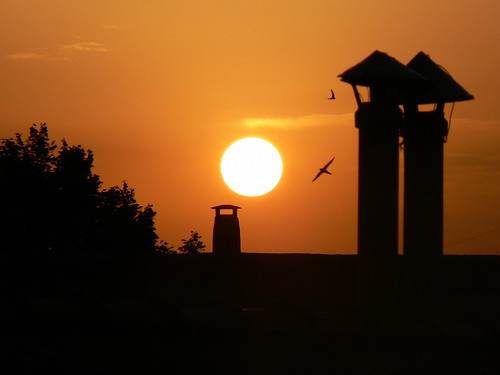 sunset sun birds tramonto uccelli sole comignoli