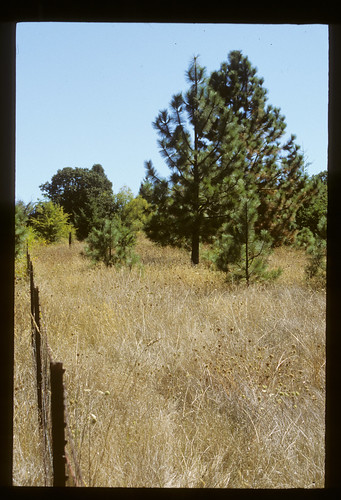 trees field grass fence landscape fenceline lebanonor