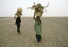 Mali Women Collect Firewood on Dry Riverbed
