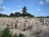Nauru II: The Phosphate Industry & its Spectacular Skeletons!