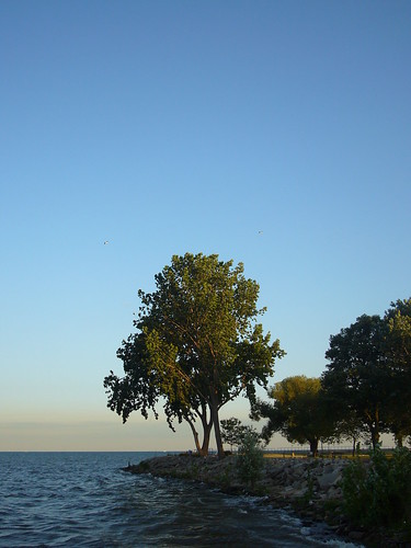 blue sunset sky lake tree water