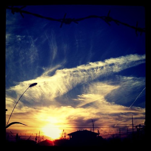 sunset sky japan clouds square evening squareformat barbedwire 日本 雲 夕暮れ 空 tochigi 栃木 takanezawa iphoneography 高根沢 instagramapp xproii uploaded:by=instagram