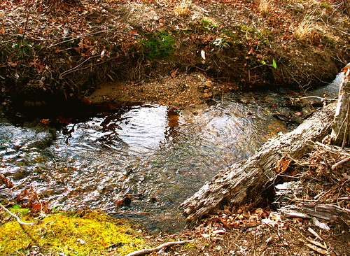 water creek virginia running va dinwiddie dinwiddiecounty