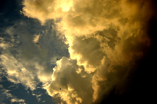 sunset storm birds clouds virginia thunderstorm virginiabeach