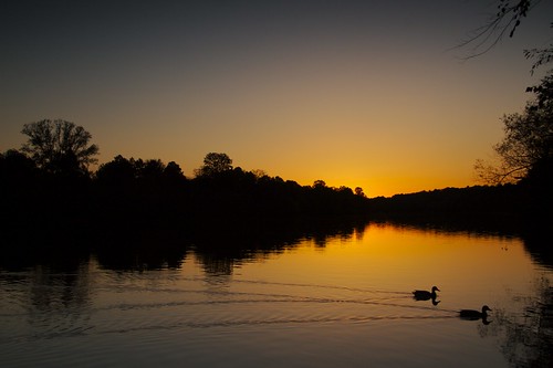 sunset usa ga landscape duck flickr roswell ducks chattahoochee chattahoocheeriver