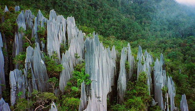 Pinnacles at Mulu, Gunung Mulu National Park, Borneo