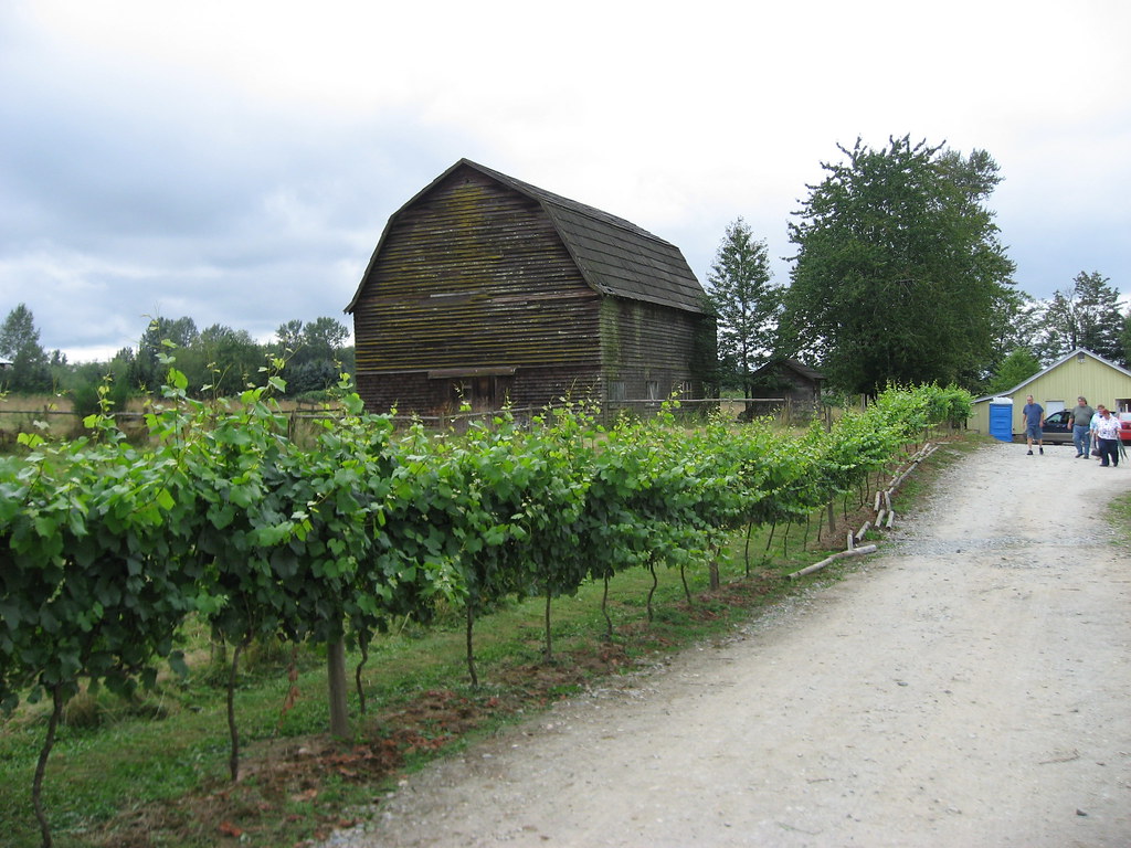 Township 7 Vineyards