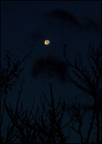 moon film night analog 35mm dark asahi kodak cropped enlarged happyhalloween mesuper postprocessing gold400 soligorf35452880mmzoommacrolens moodyspooky pentaxart cloudspentax