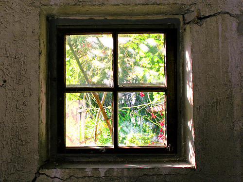 sun window wall backlight garden shadows branches rosehips straightfromcamera travellerphotos wowiekazowie spidernets oldgardenhut wallcracks flickrexcellentphotos