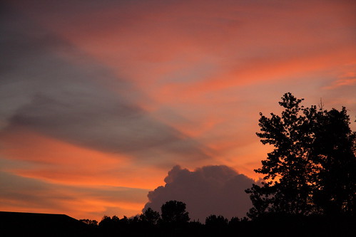 sunset shadow sky tree silhouette clouds arkansas bryant