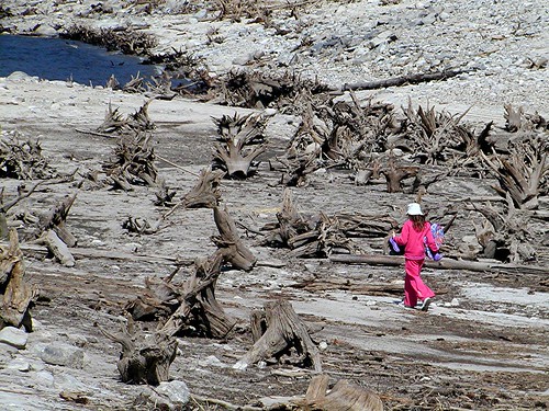 pink blue trees lake water girl walking landscape geotagged dead montana rocks 6ws failure gray sixwordstory dry dreary ongrey lakecomo barren determination myownfavorites geo:lat=46062579 geo:lon=114234788