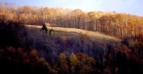 autumn fallcolor fallfoliage hillside elkcreek schenevus edbrodzinsky