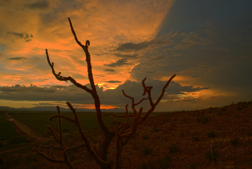 sunset cactus usa landscape al cs2 az hdr photoshopcs2 safford sonyalpha challengeyouwinner ©æ saffordaz minoltaaf20 ahlston
