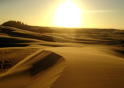 sunset sand dunes oregondunes