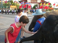 Fun with elephants