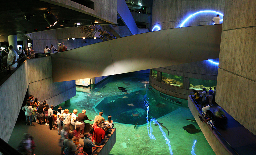 visit baltimore aquarium