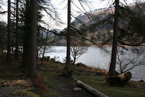2010.02.28 07 Wicklow Mountains 041 Lower Lake