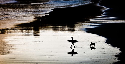 sunset dog beach surf board