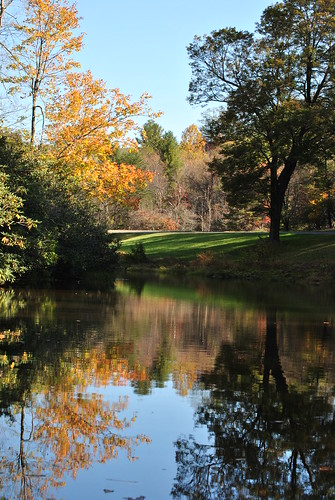autumn reflection fall mill season pond parkway blueridge rakes
