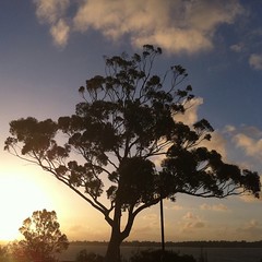 Sunset in Perth
