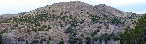 newmexico landscape march 2006 pan gila casitadegila