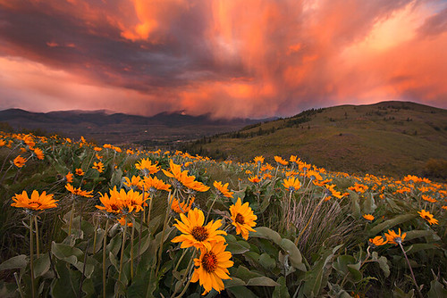 sunset storm color rain washington winthrop cascades wildflowers balsamroot cs5 kpieper pieperphotographynet 5d2