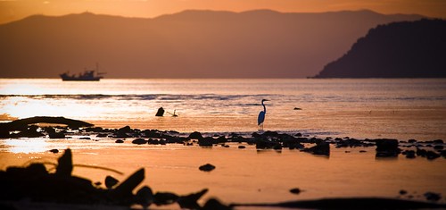 ocean red sea beach water birds japan sunrise bay boat 日本 海 空 ibusuki 水 鳥 赤 砂浜 夜明 070821