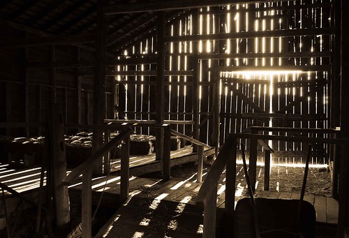 light sepia barn stlouis missouri hay wheelbarrow faustpark
