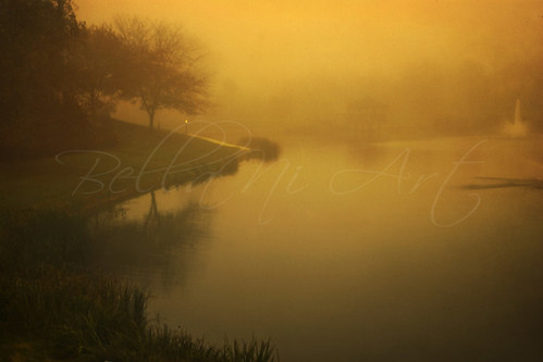 morning nature fog landscape “flickraward”