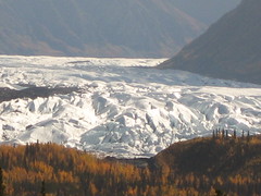 Matanuska Glacier 