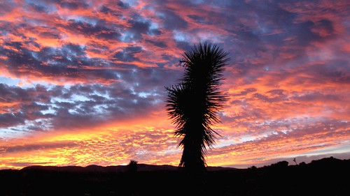 sunset sky tree silhouette clouds desert joshua littlerock hills valley antelope juniper