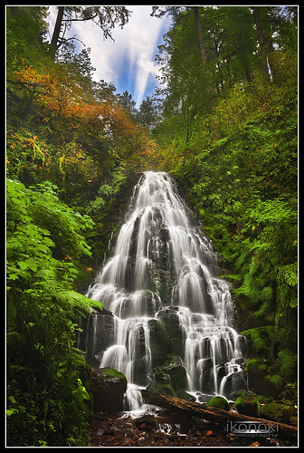 trees sun color green fall leaves fog clouds oregon river waterfall moss log or columbia falls fairy gorge ikonoki