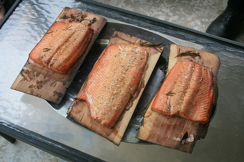 wild salmon grilled on a cedar plank