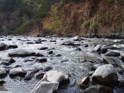 creek river stream ripples
