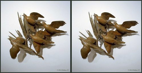 sculpture art stereoscopic stereogram 3d crosseye md gallery brian maryland stereo wallace stereopair sidebyside easton stereoscopy stereographic freeview crossview brianwallace xview stereoimage xeye stereopicture waterfowlfestival