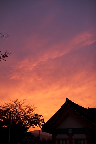 sunset silhouette southkorea gyeongju