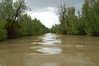 Gambia river Creeks