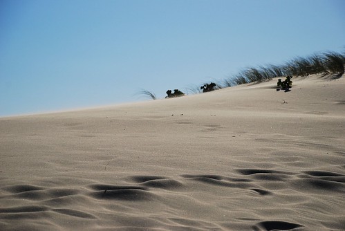 landscape sand lacanau