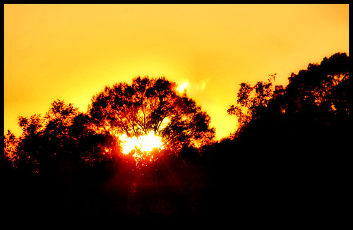 park sunset sun tree alabama montgomery blountculturalpark