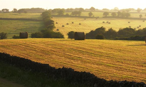 ireland sunset summer ilovenature golden countryside bales oughterard vratsagirl