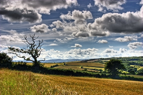 summer sky sunlight tree barley clouds rural canon spectacular landscape outside outdoors eos countryside daylight photo scenery view wideangle best devon vista organic dartmoor canoneos soe hdr highdynamicrange breathtaking 202 thegreatoutdoors westcountry theworld planetearth ashcombe bestset tripleshot 3xp photomatix tonemapped aeb 3exposures truetone hdrimage handheldhdr hdrsky hdrskies hdrpicture bestimage hdrclouds shieldofexcellence topimage photomatixhdr ishflickr hdriimage rmrayner ralphraynerphoto cotcbestof2007 spectacularshots 202fstops hdrview skypillows saariysqualitypictures ralphrayner hdrscene landscapeandsky landscapewithsky
