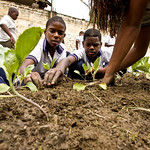 Children caring for a community garden