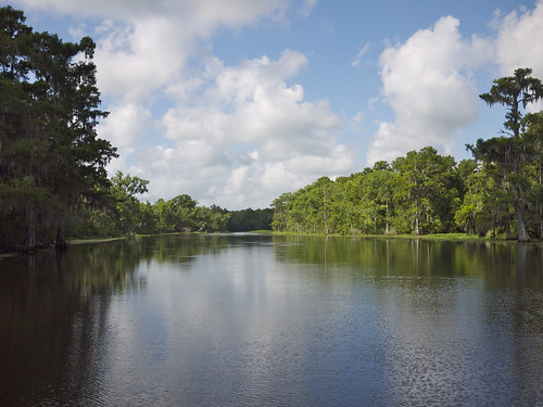 louisiana bayou swamp bayouboeuf torresswamptour dopplr:trip=1173855