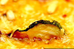 foodscape   eggplant parmesan   zucchini dorsal fin … 