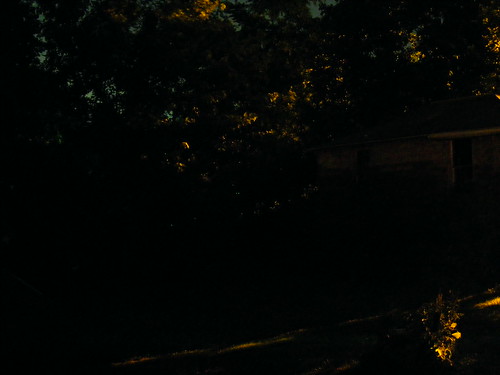 nature night outdoors fuji wildlife insects wv nighttime westvirginia technorati firefly fairmont s700 2007 fireflies fairmontwv s5700 shuttersparks
