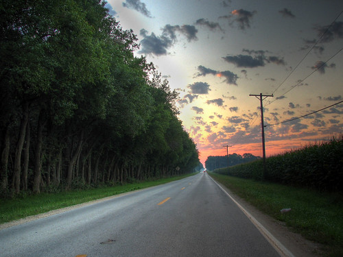 road county trees sun tree lines sunrise highway power hedge rise hdr kankakee