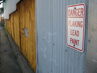 Lead danger